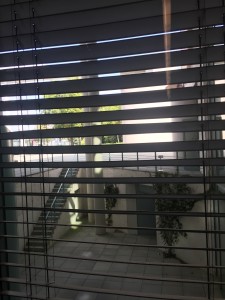 img_4459