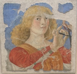 Copia di IMG_5469