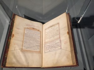 IMG_1507